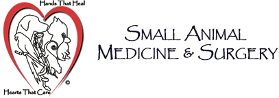 Small Animal Medicine & Surgery